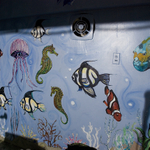 DSC_8346.jpg